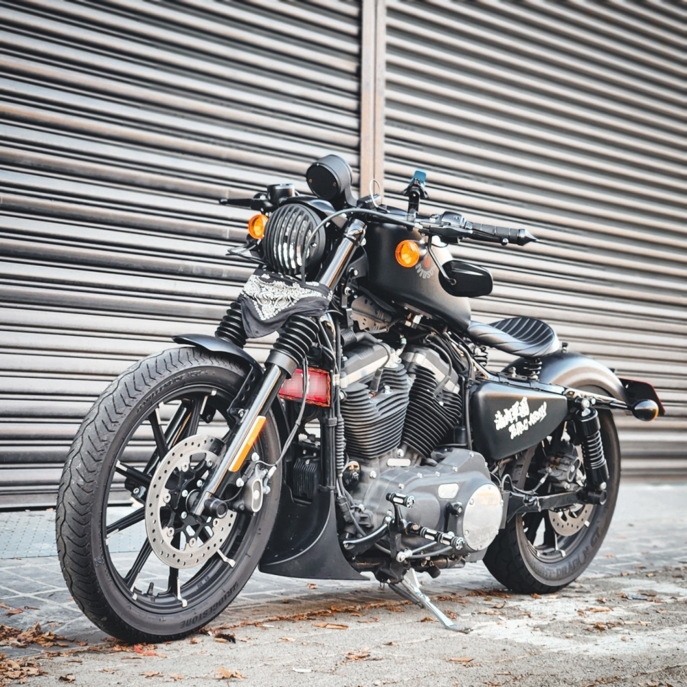 HARLEY XL883N