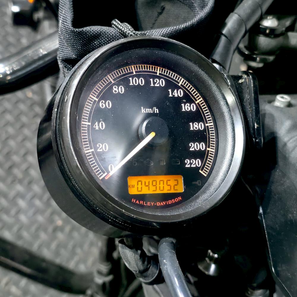 Harley-Davidson XL883N