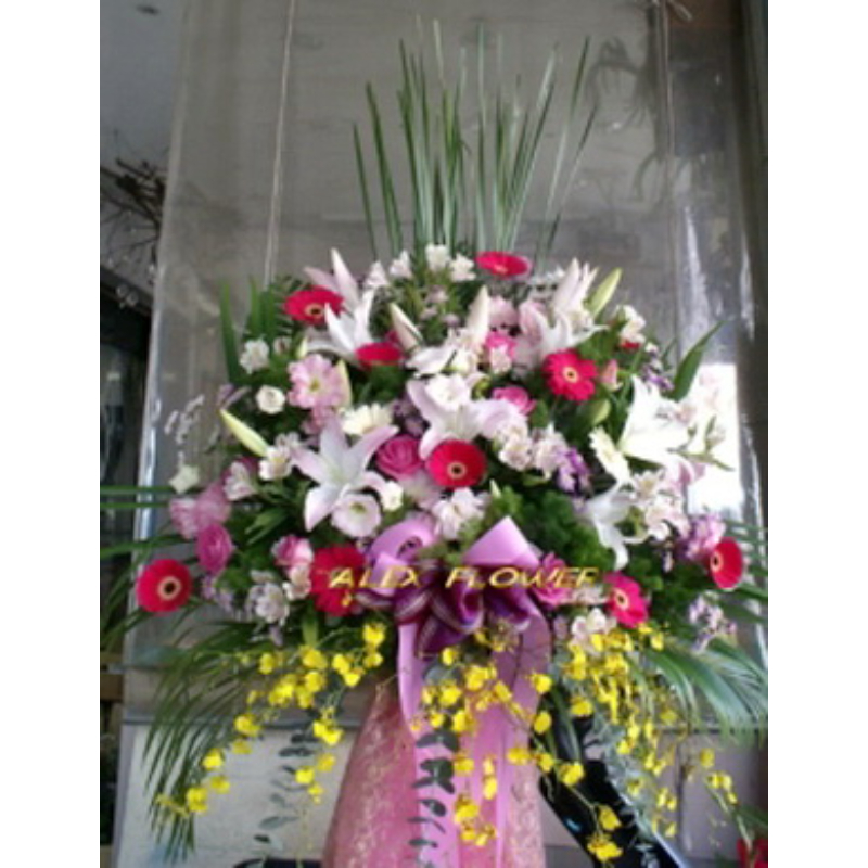 鴻圖大展〈一對〉