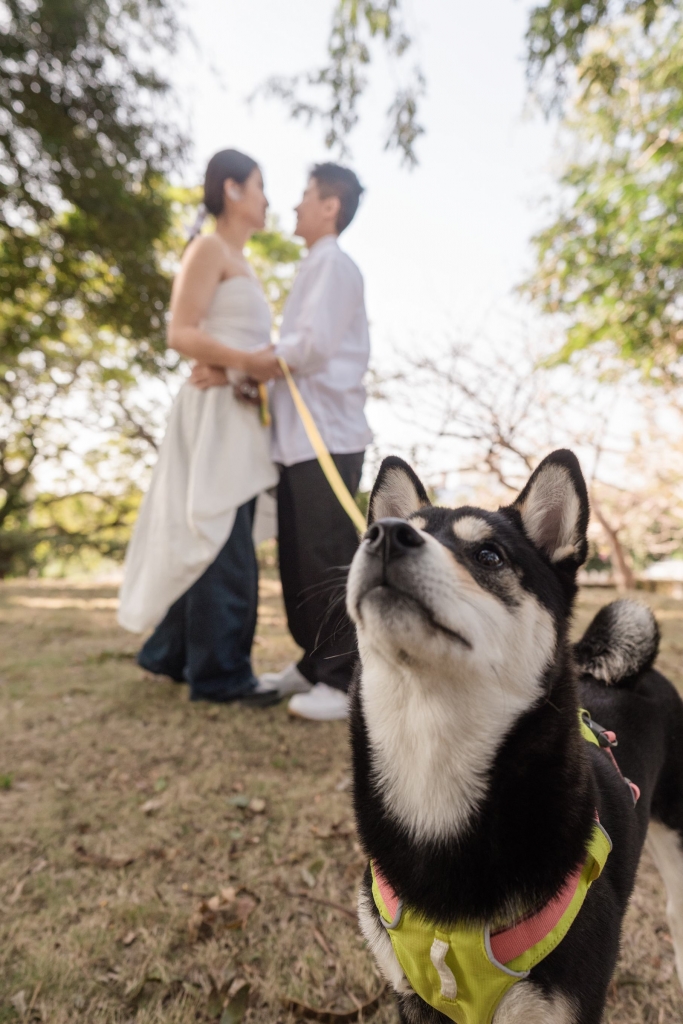 結婚登記｜⸜琳♡晏⸝