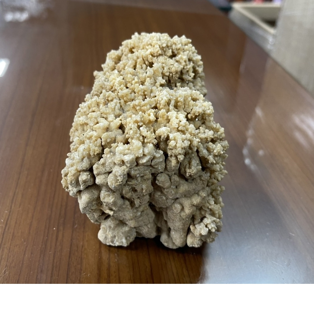 R82318*珊瑚藝品*