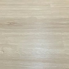 Lai .V 461