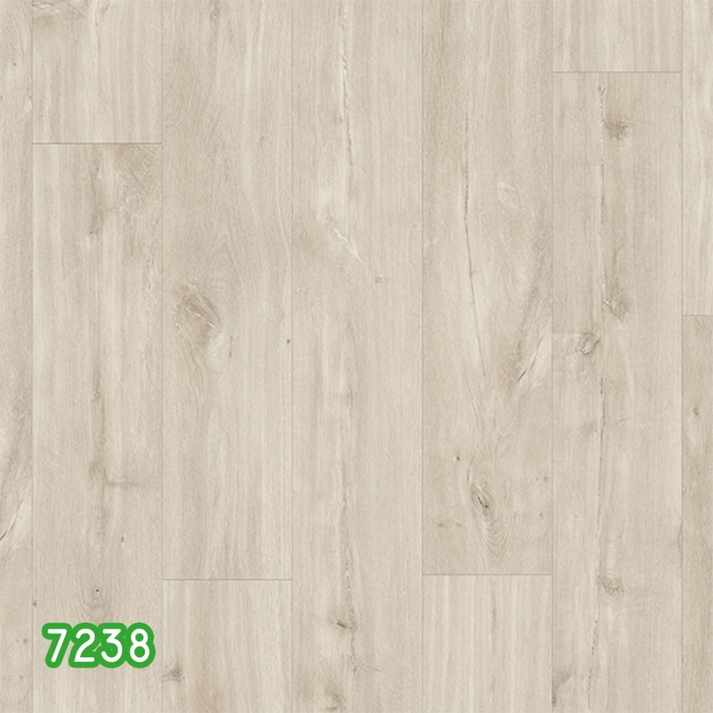Kaindl 723