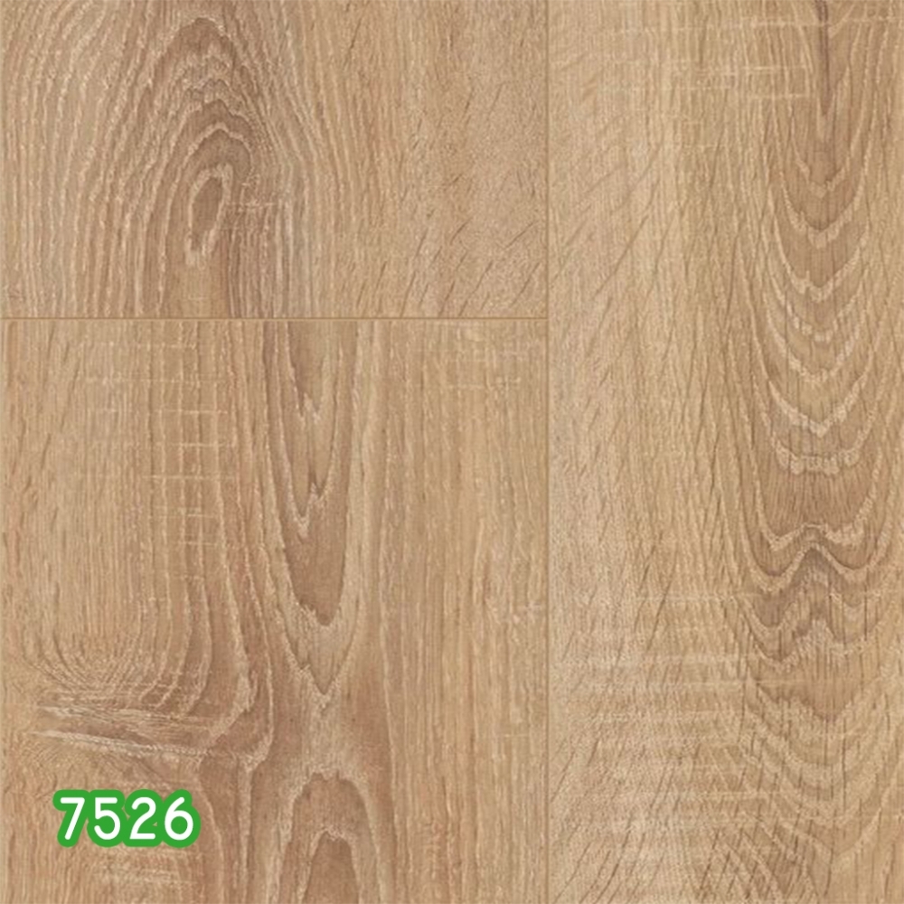 Kaindl 752