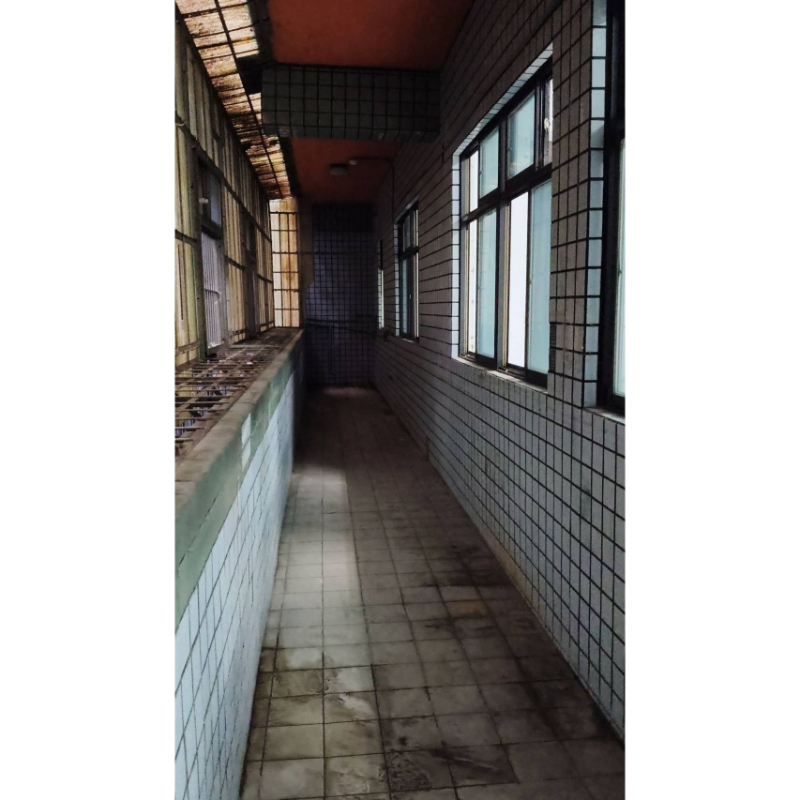 完工-新北市樹林-新加坡工業區-拆除設備工程及莊湖拆除/新北拆除設備