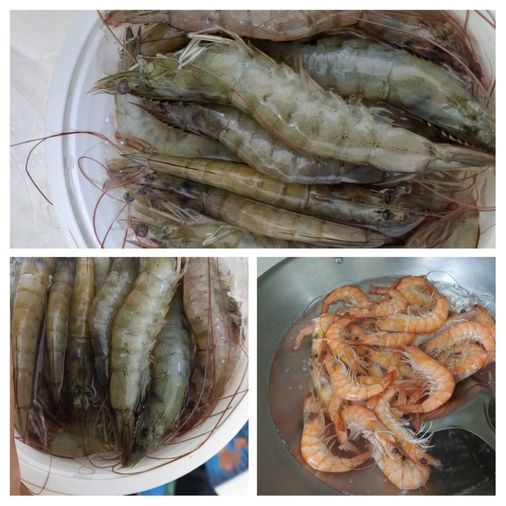 白蝦，虱目魚<台南>