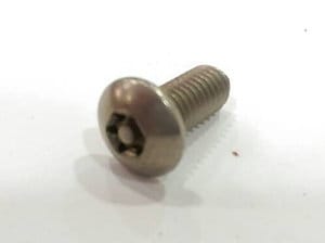 Security Screw