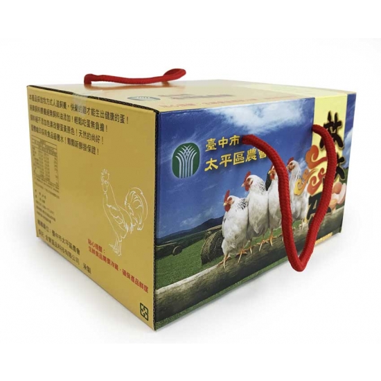 小型雞蛋包裝箱