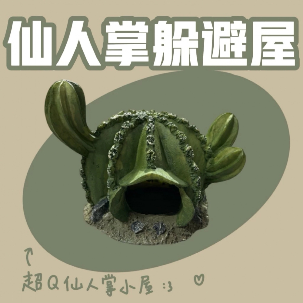 仙人掌躲避屋 守宮躲