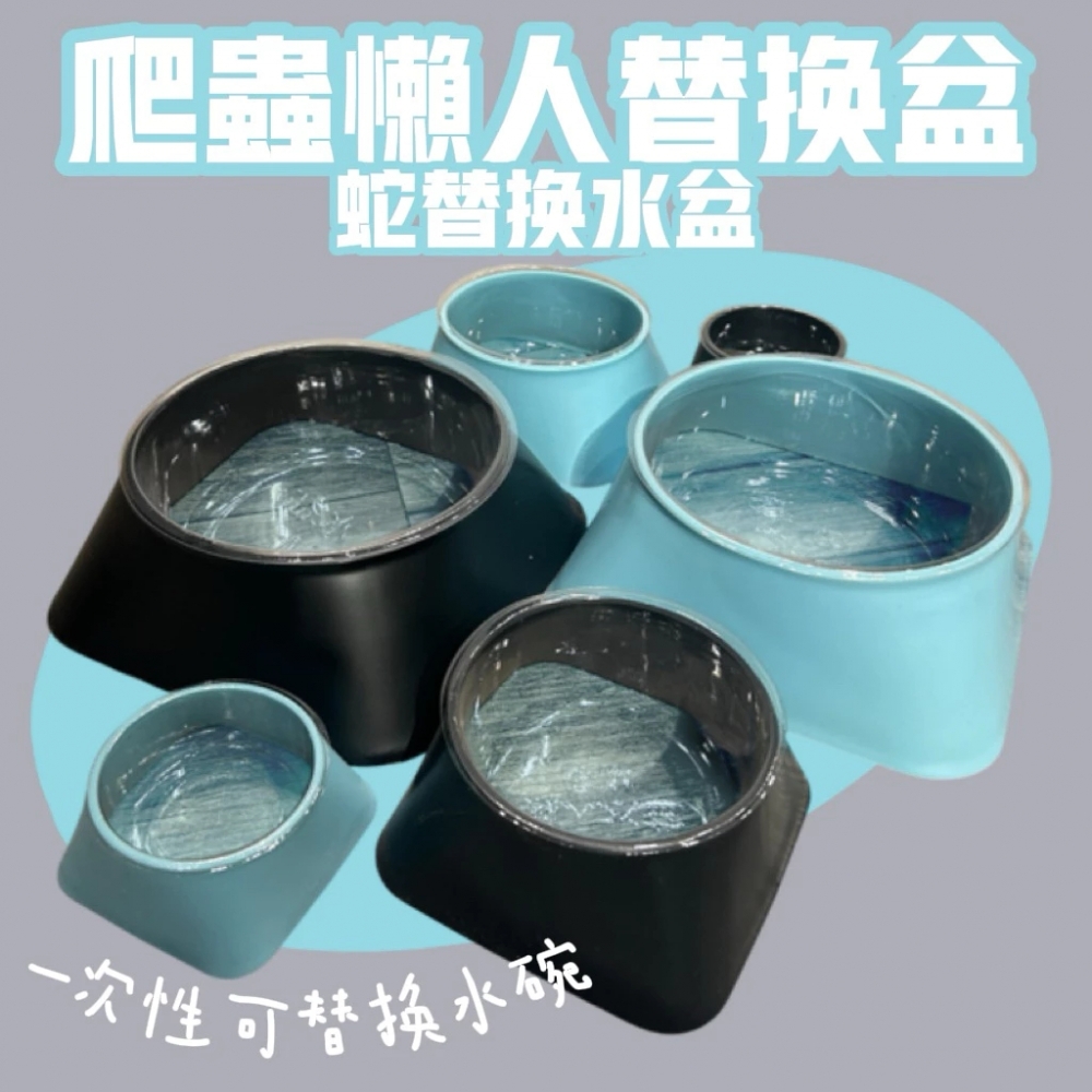 替換碗大號（10個）