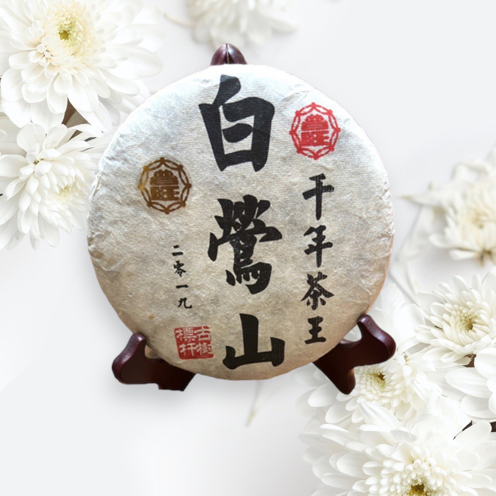 新年優惠5折，2019年春茶，白鶯山千年，古樹普洱生餅，單一純料，原價一餅12000元，5折後一餅只要6000元