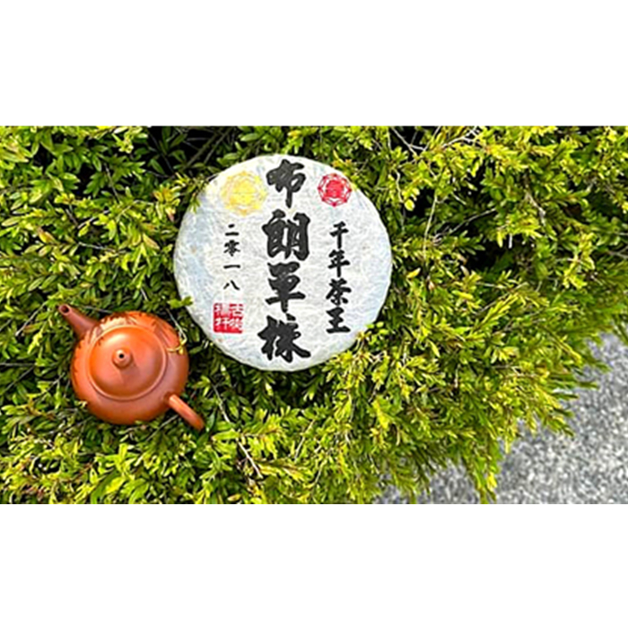 2018年布朗單株千年，正春茶，普洱古樹茶原價10000元每餅，活動優惠七折只要6900元另加贈紫砂杯一對，陳化五年的精品好茶，免運費可貨到付款！，歡迎選購。