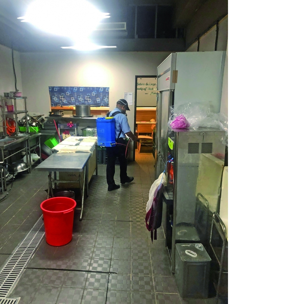 餐廳內外場區域病媒蚊鼠害防治消毒