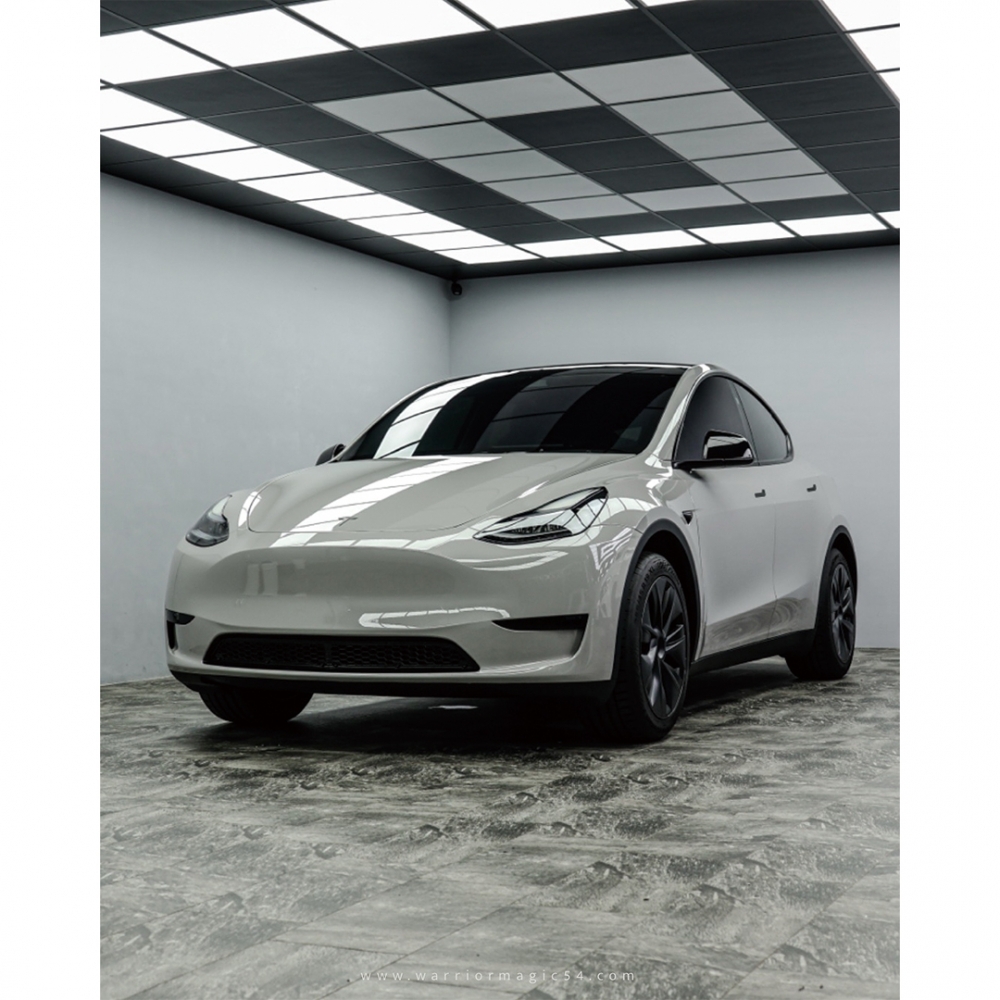 Tesla ModelY/特斯拉改色犀牛皮