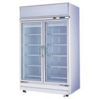 二門玻璃冷凍展示櫃