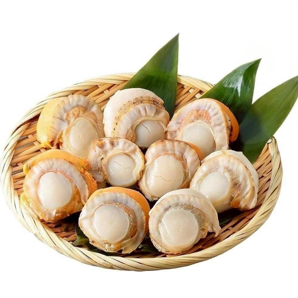 日本生食級帆立貝
