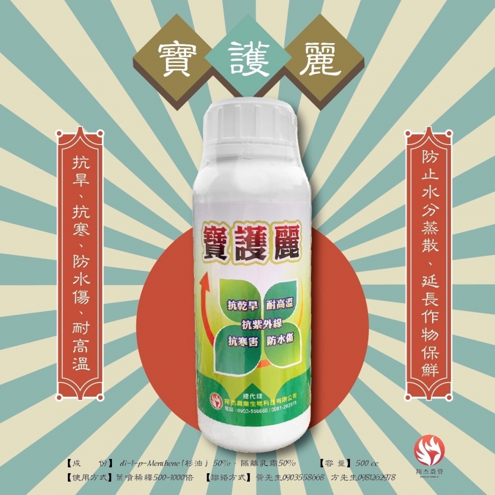 寶護麗500cc