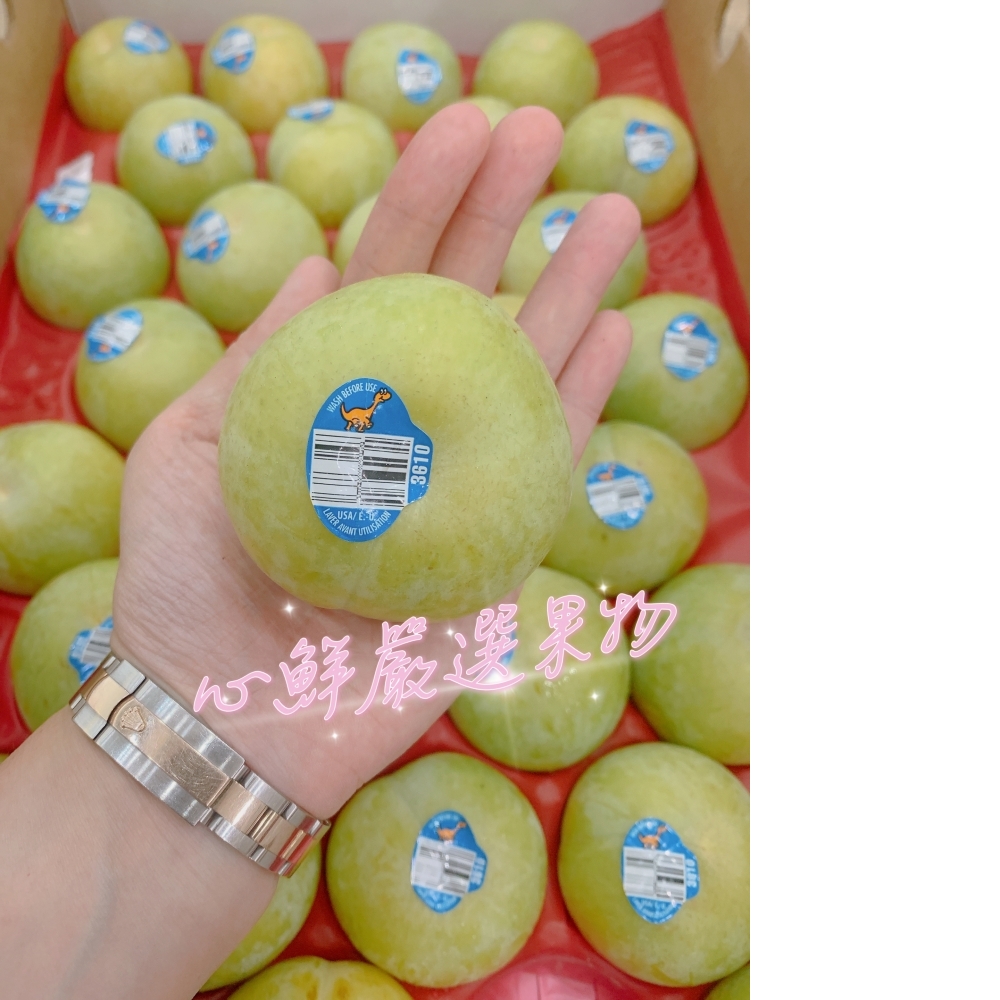 美國 加州 恐龍蛋 