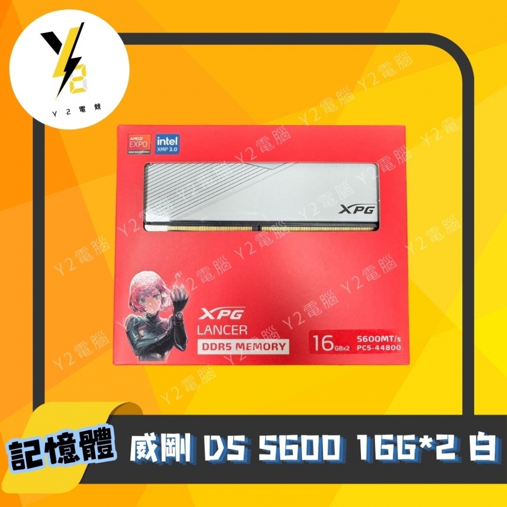 威剛 D5 5600 16G*2 白