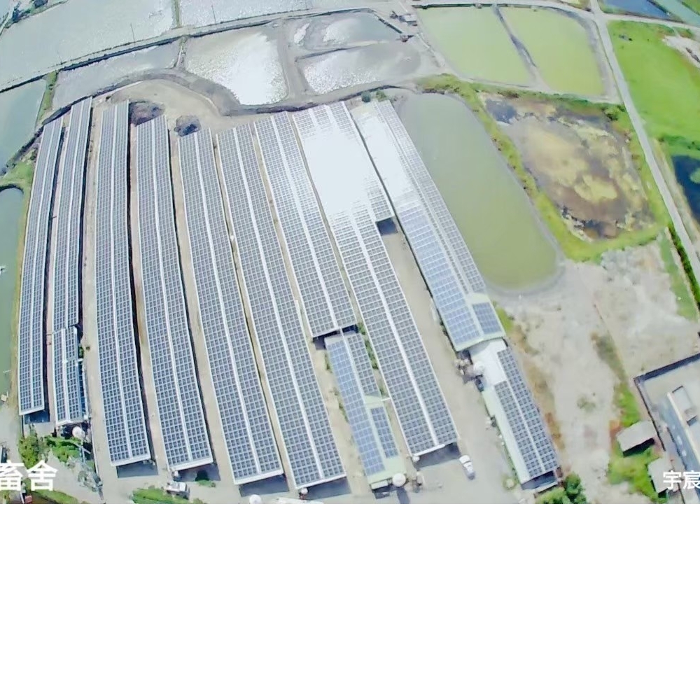 台西-畜舍太陽能