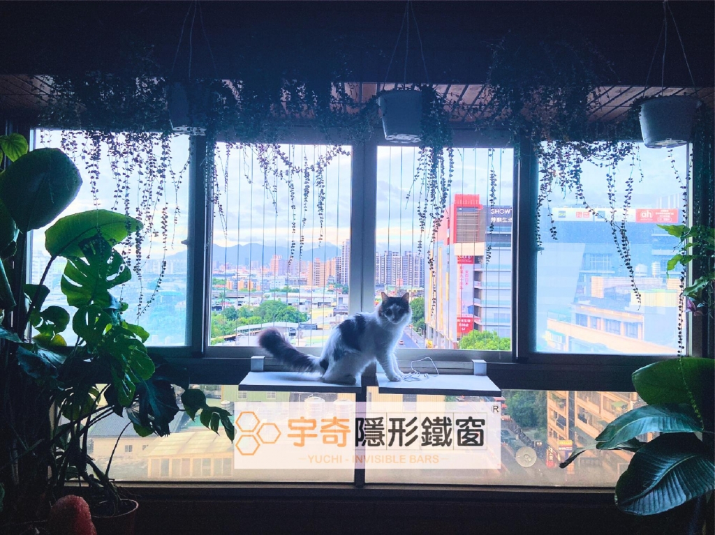 防貓窗框