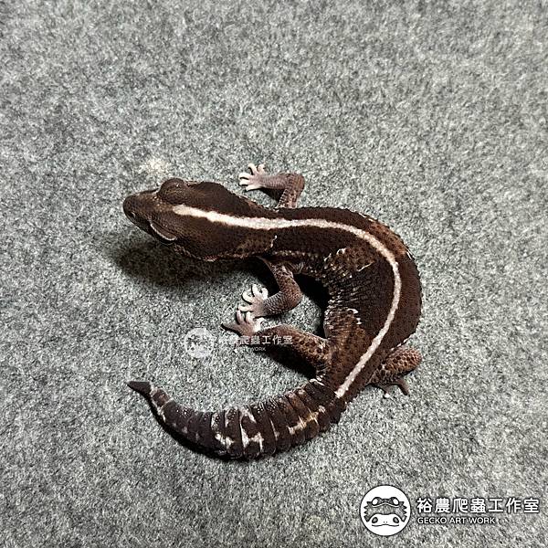 直線普肥