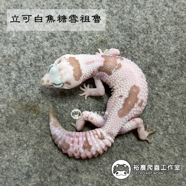 立可白焦糖雪祖魯/立可白焦糖奧利奧祖魯/White out Caramel Oreo Zulu(WCOZ）