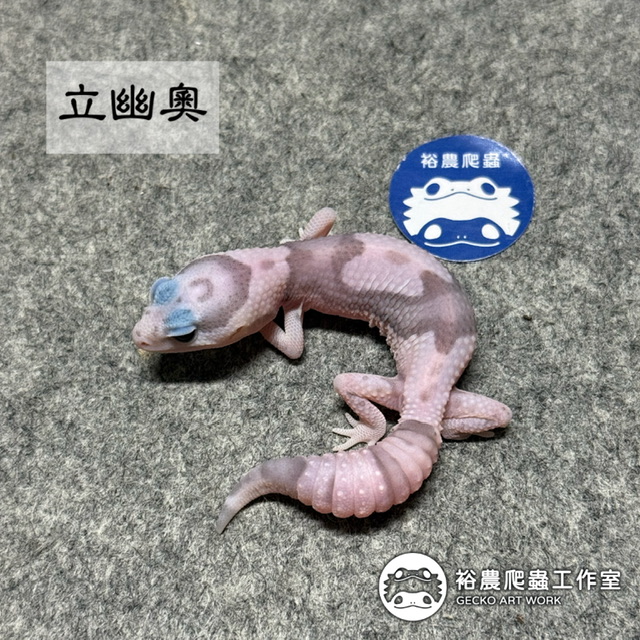 立可白幽靈奧利奧/立幽奧/White out Ghost Oreo (WGO)