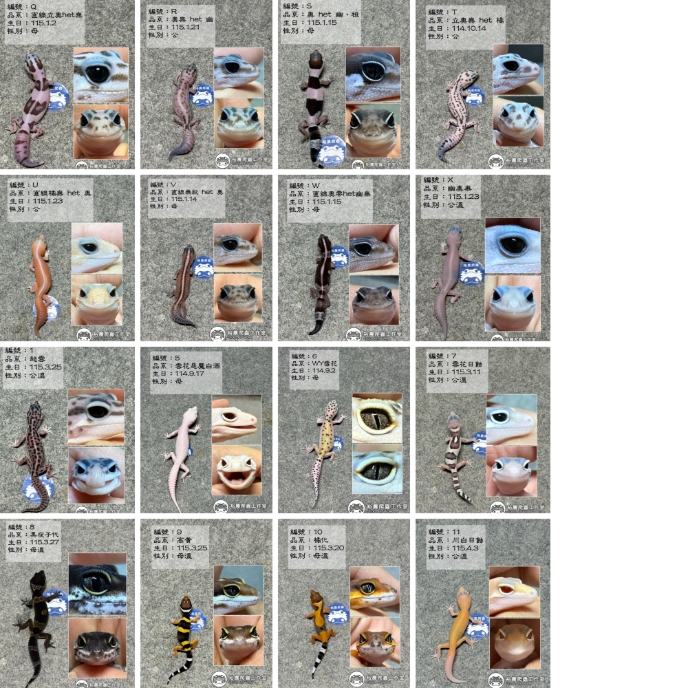 5/10最新商品私訊