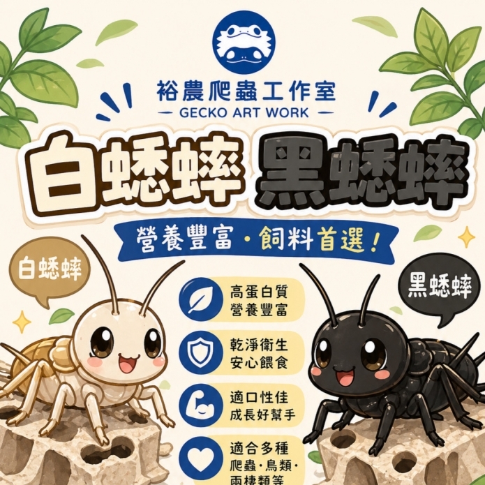 蟋蟀