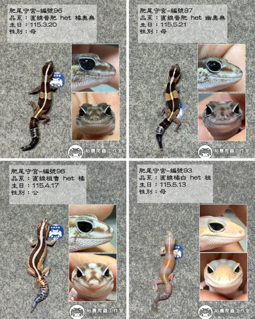10/23最新商品私