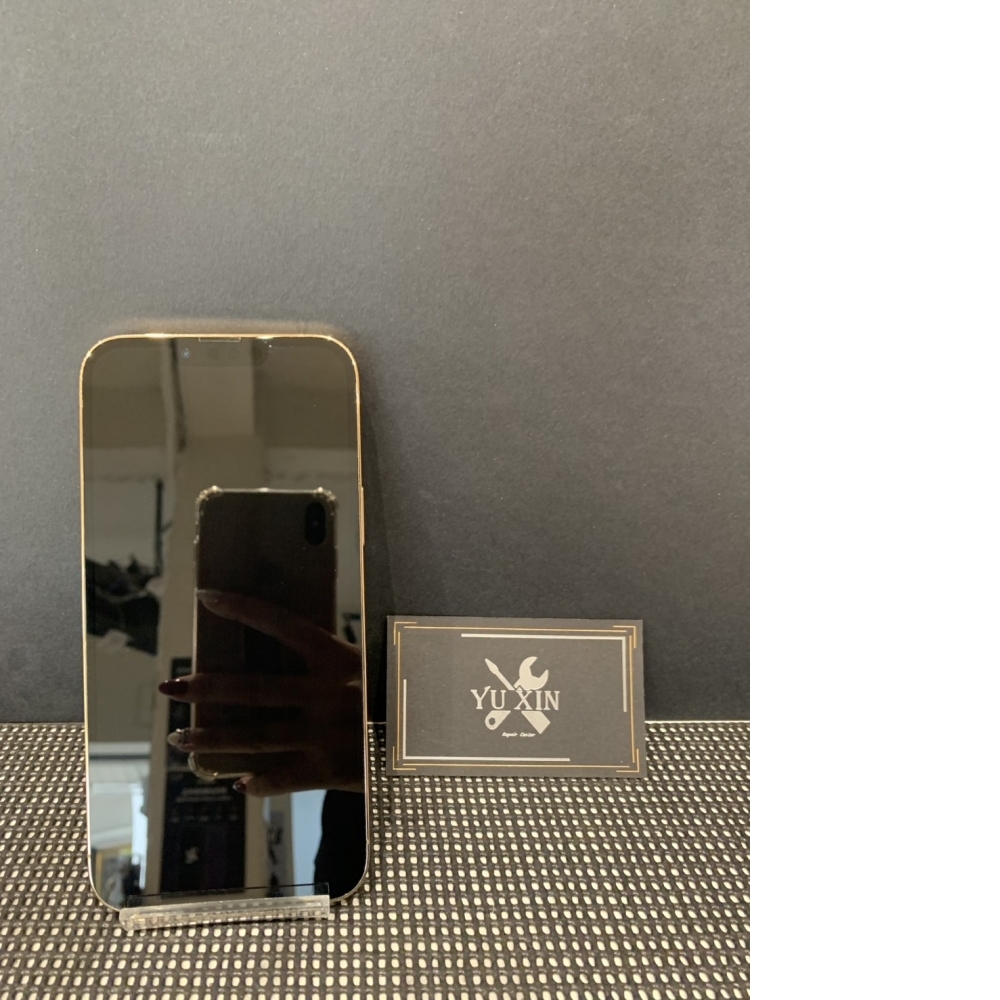 二手 iPhone13ProMax 256GB 金色 （店保30天）#791993